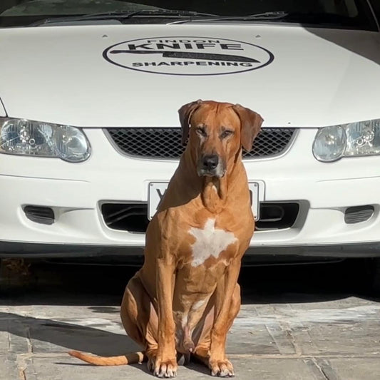 Buy Chilli A Healthy Meal!