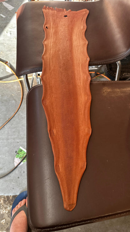Kangaroo Tails For Knife Stropping (Australia Only)