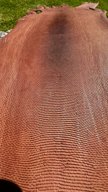 Kangaroo Tails For Knife Stropping (Australia Only)